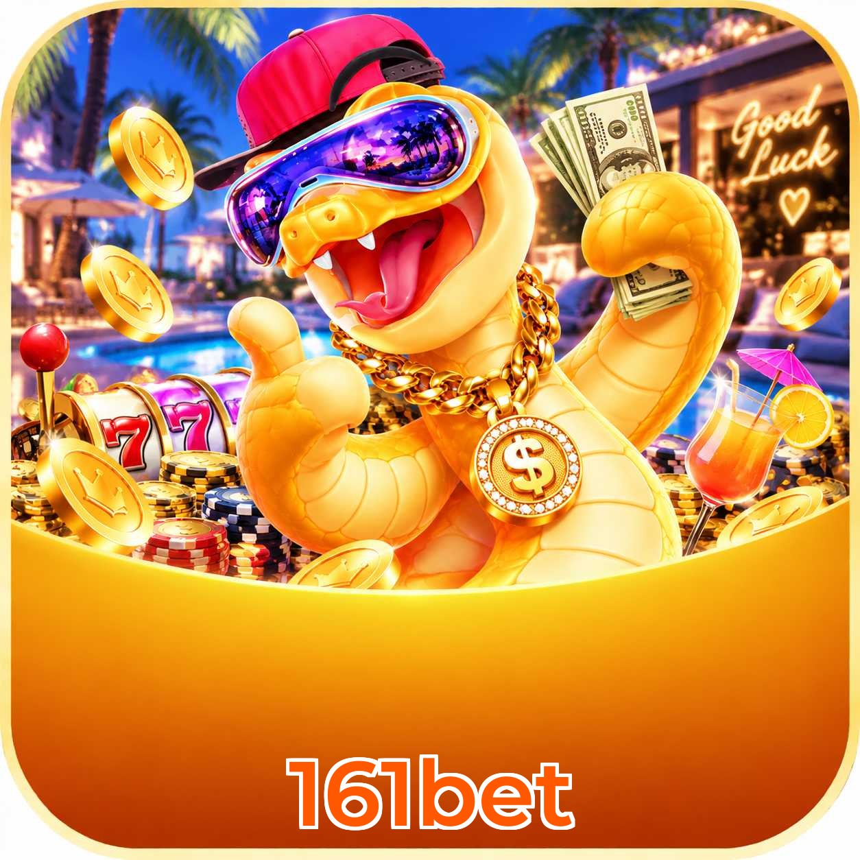 161bet Bet Odds Analysis
